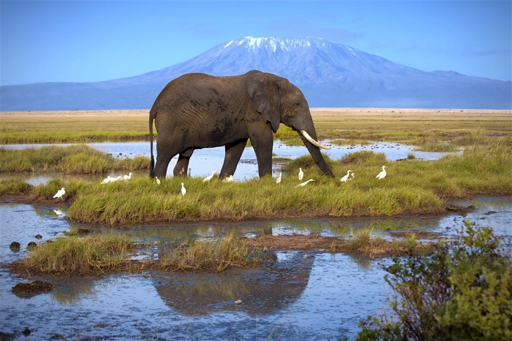 Keňa: hora Kilimanjaro