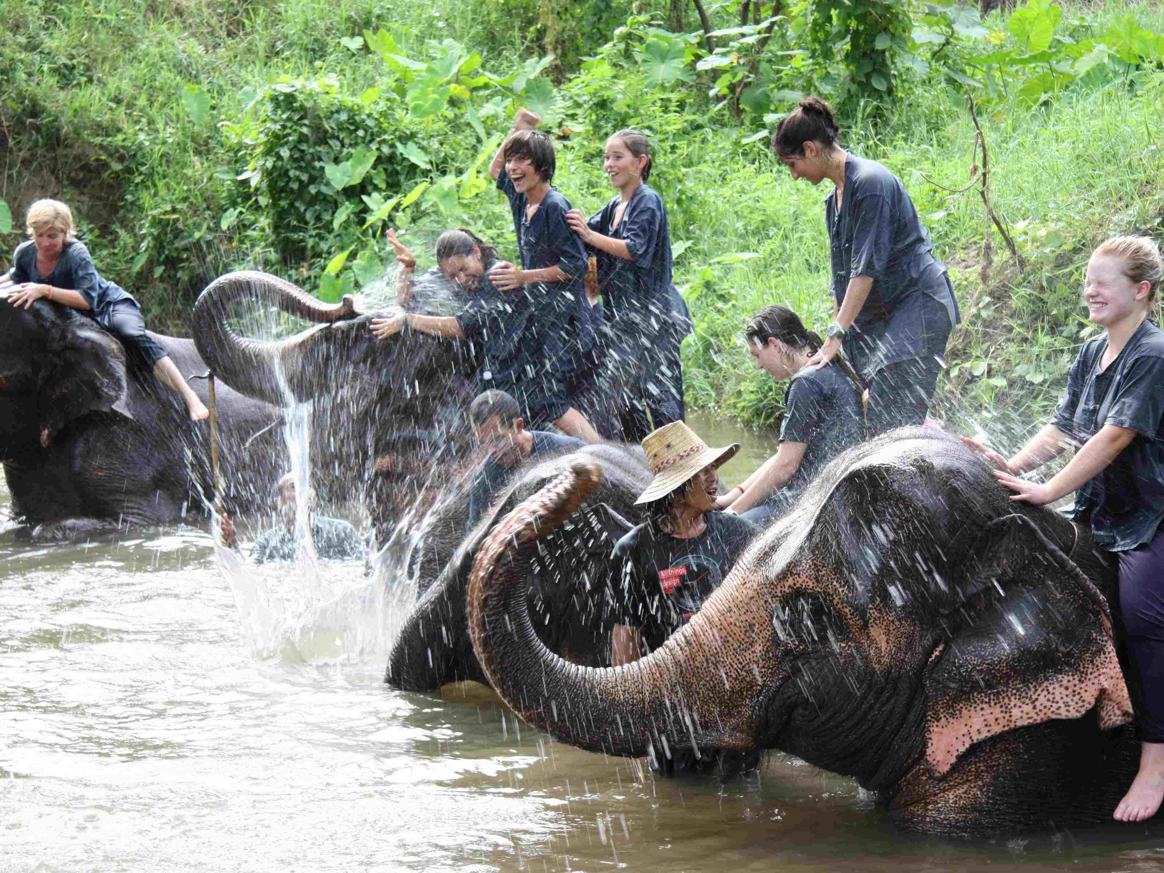 Thajsko, záchranná stanice pro slony, zdroj: CK Marco Polo